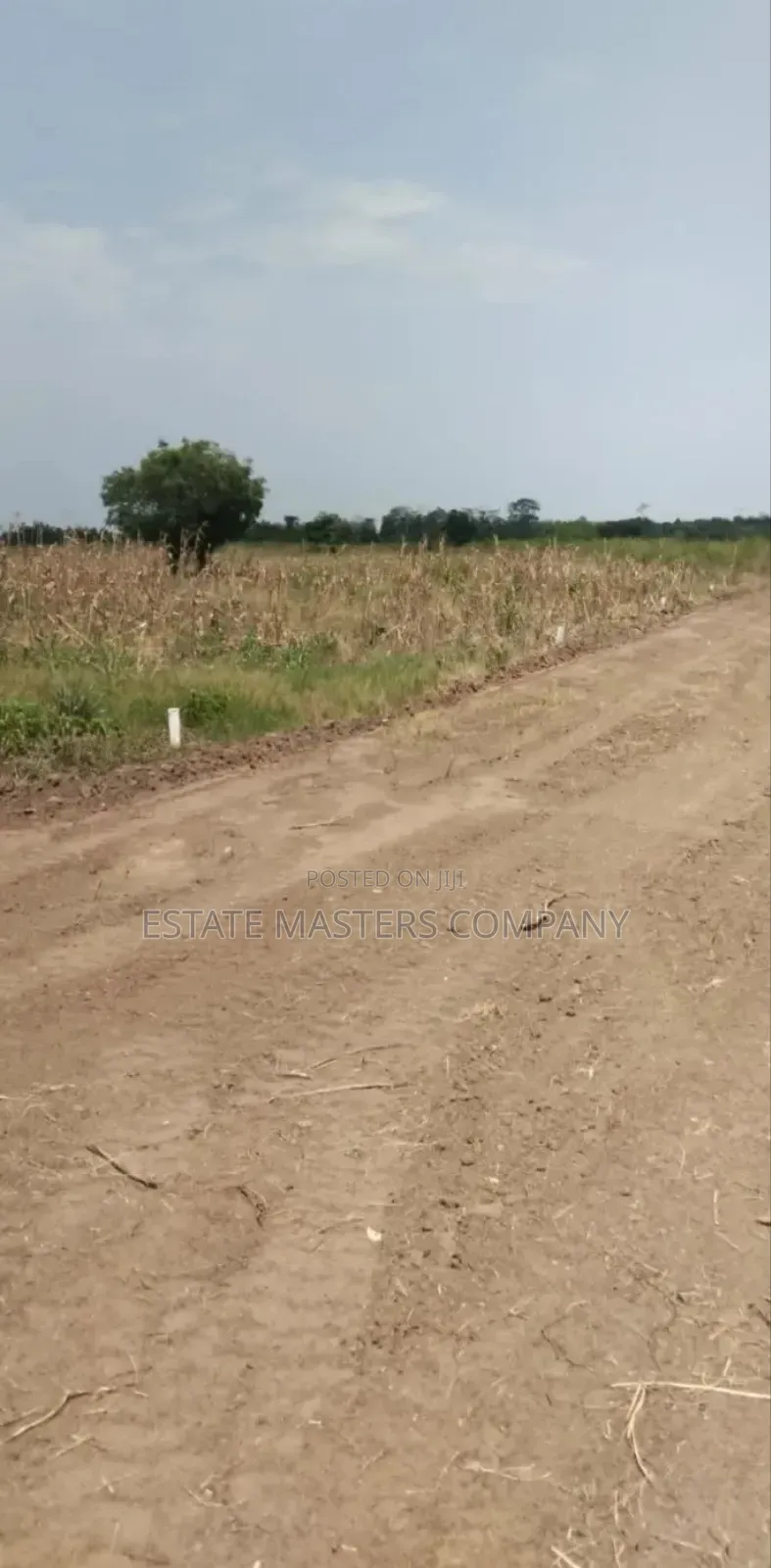 Well Organised Site at Panfokrom for Your Project