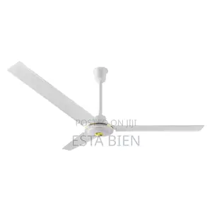 Ceiling Fan