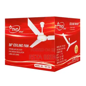 Ceiling Fan