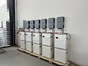 48v 300ah Blue Carbon Lithium Battery