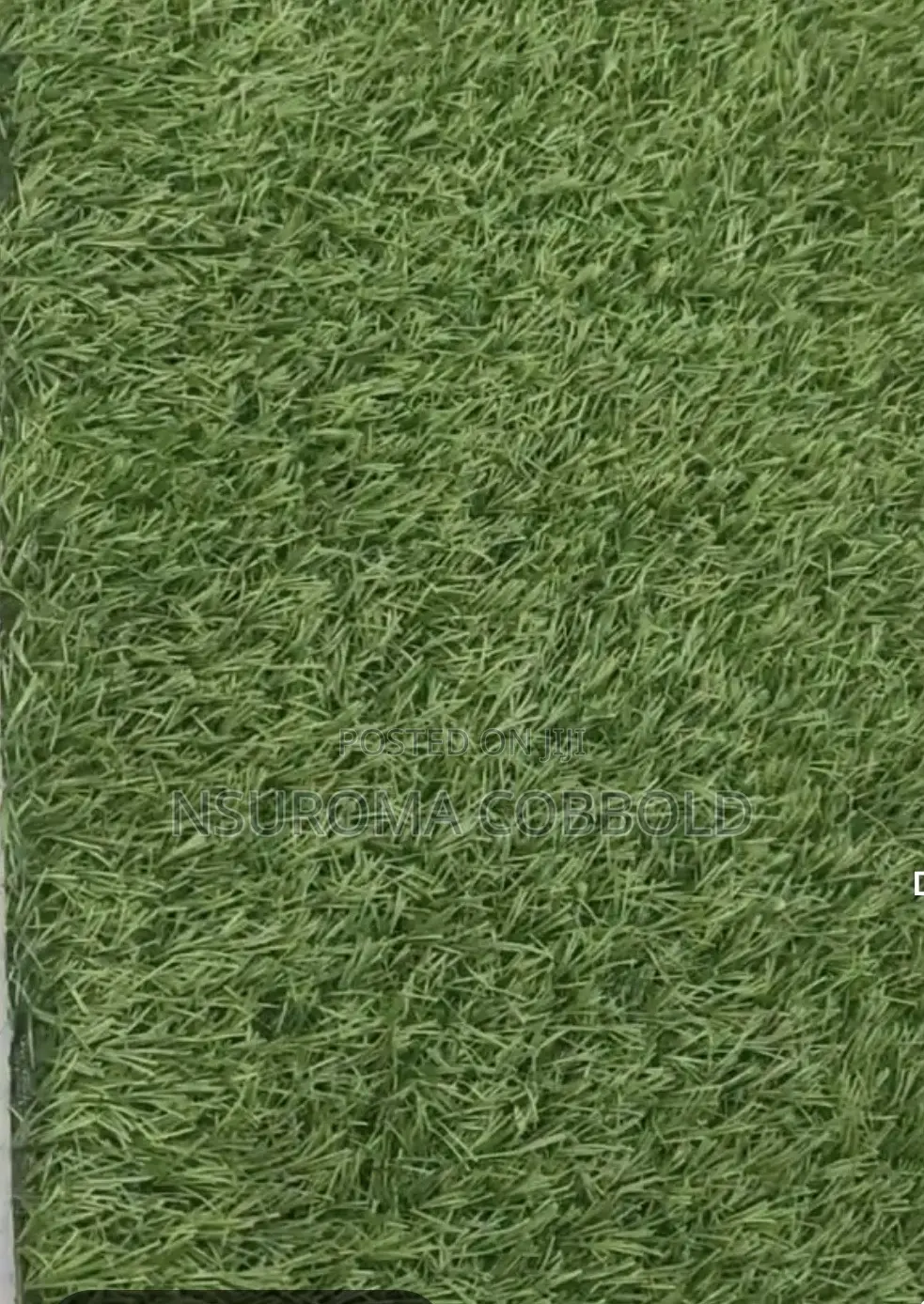 Green Grass Carpet N1