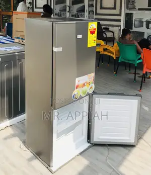 Efficient Galaxy Bottom Mount Freezer Fridge(Dark Gray).