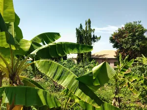 Full Plot of Land Good Location Kyem