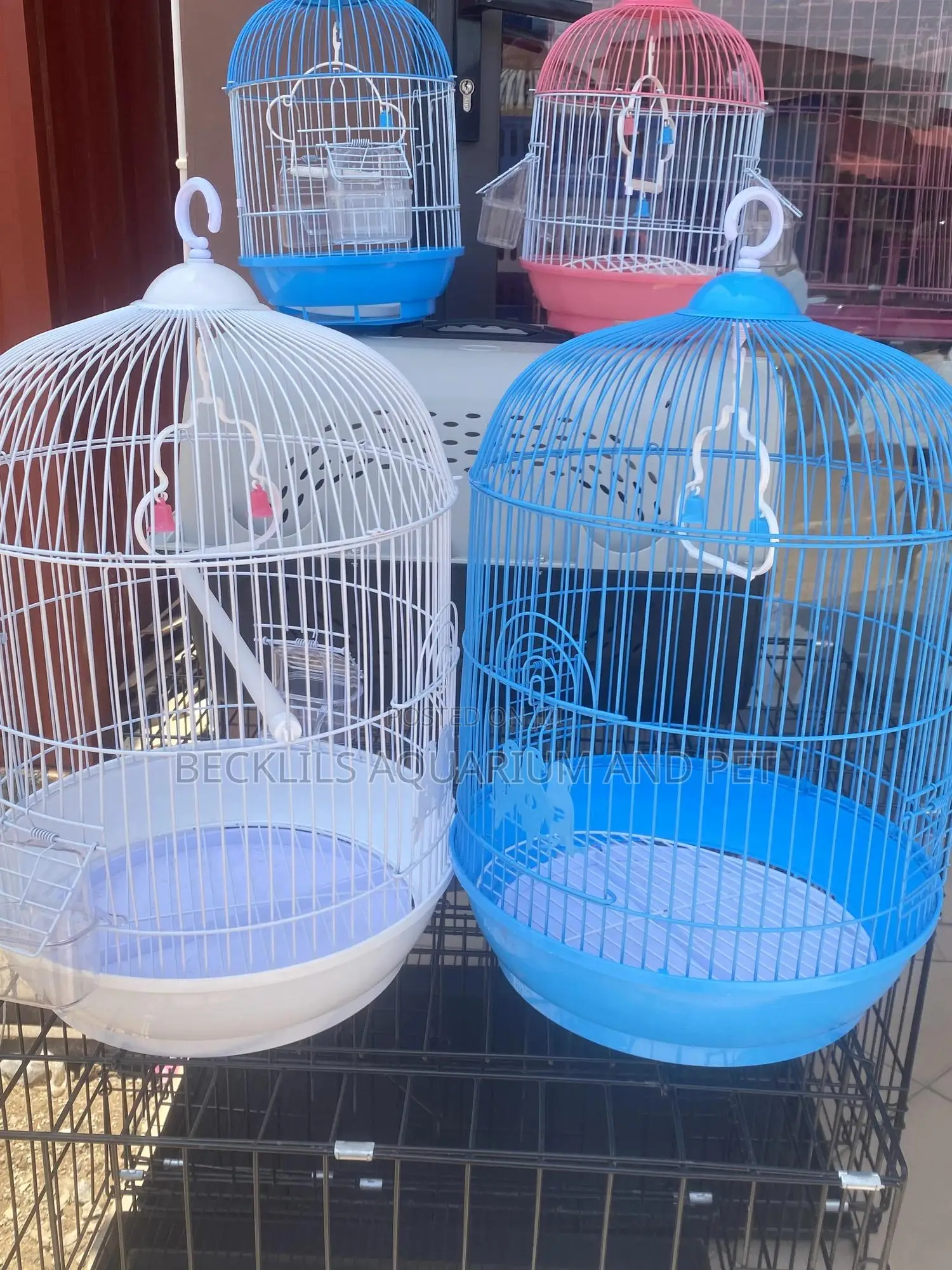 Queens Parrot Cage