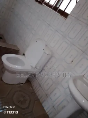 1bdrm Apartment in Zedek Properties, Ashomang Estate for rent