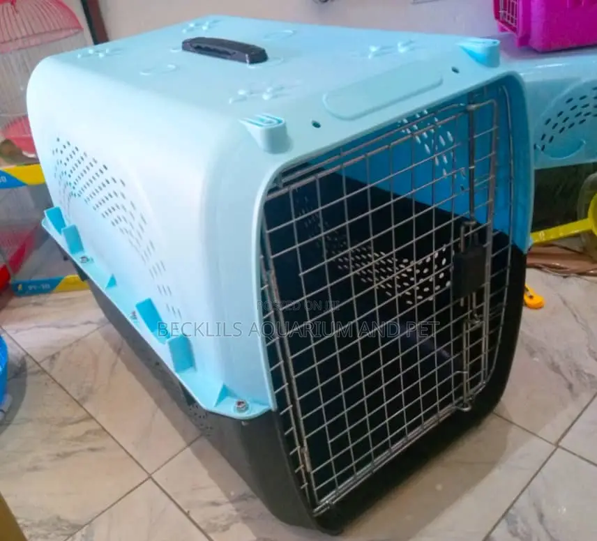 Spacing Dog Cages