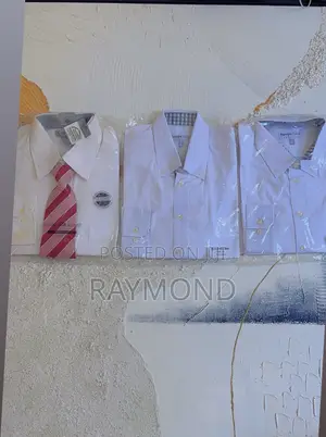 Classic Long Sleeve Shirts