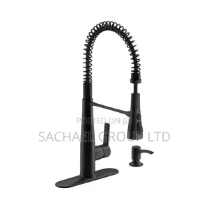 Black Pull Out Kitchen Faucet