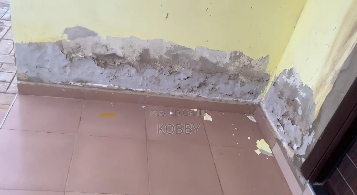 Wall Dampness and Manhole Plastering Chemical