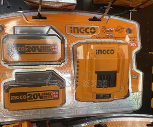 Ingco 20v Battery (2) and Charger Kit (Fbcpk1424)