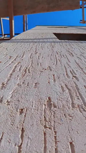 Graffiato Selling,Installation and Painting