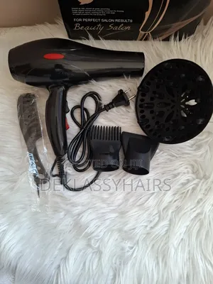 Professional Hair Dryer