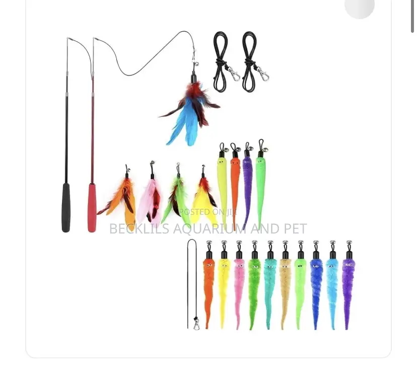 Cat Play Toys