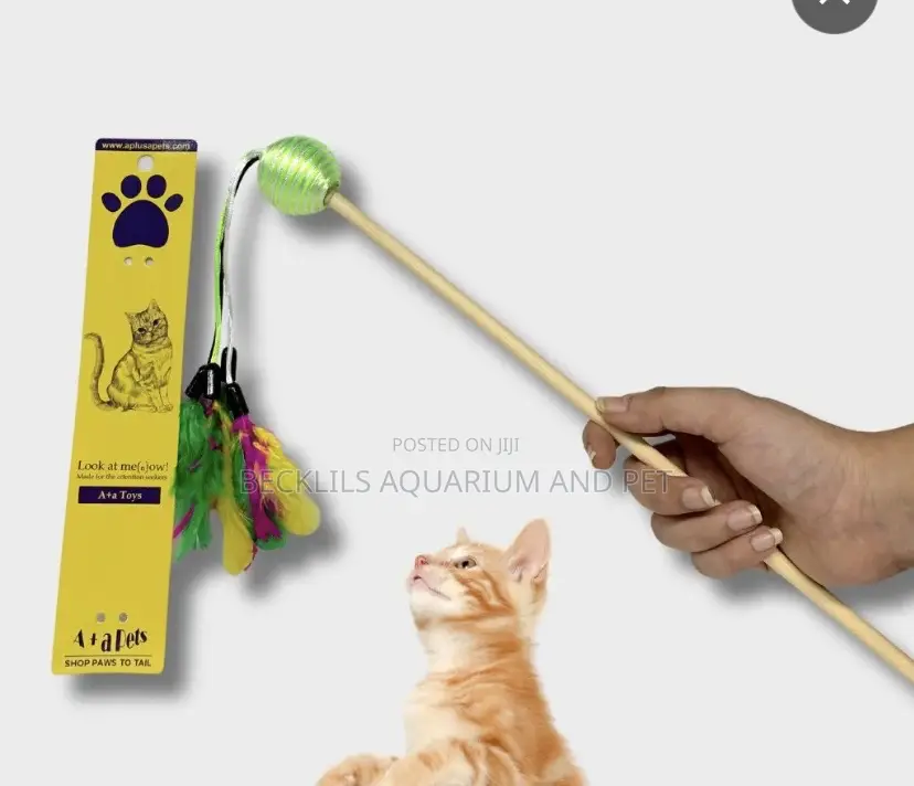 Cat Play Toys