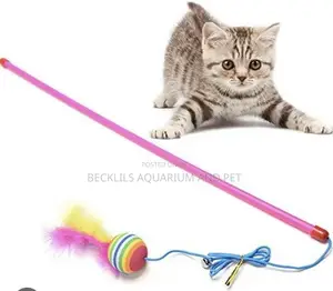 Cat Play Toys