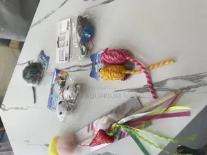 Cat Play Toys and Accessories