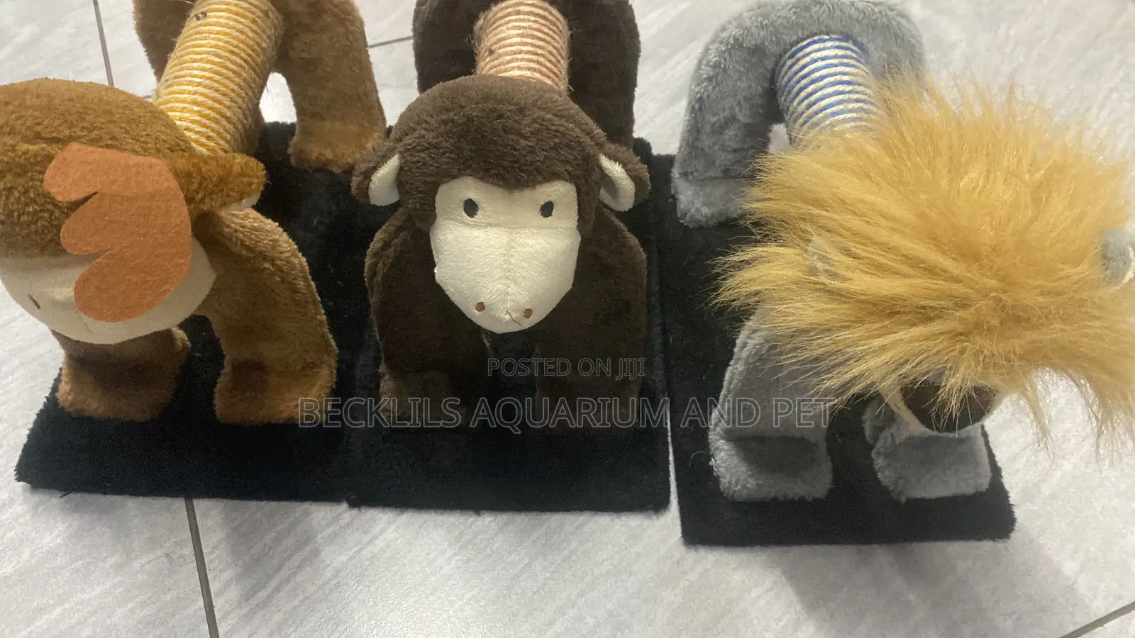 Cat Scratching Playing Accessories