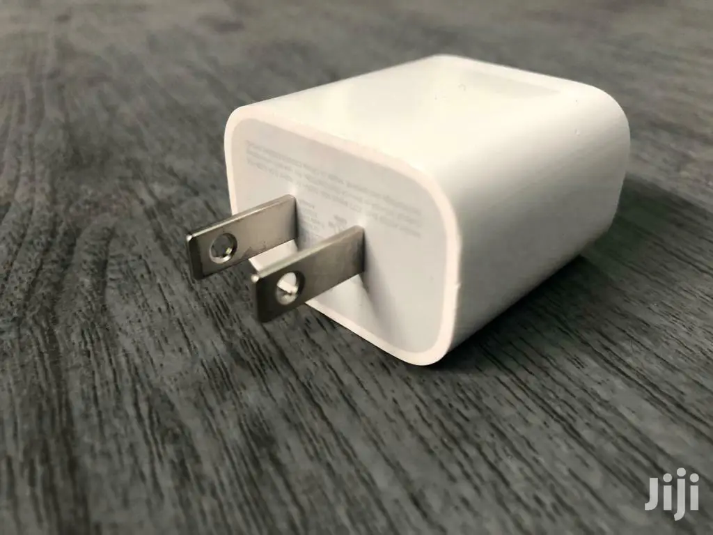 Apple iPhone Charger