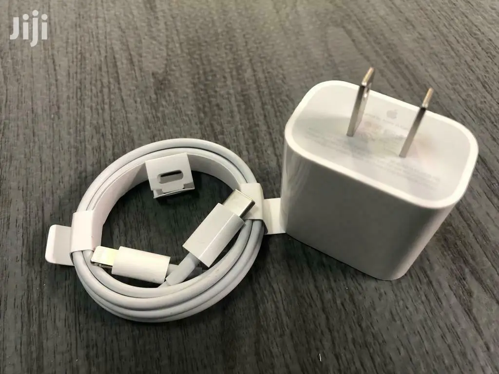 Apple iPhone Charger