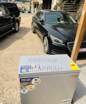 Get Lovely Design Nasco Nas250fl Chest Freezer(Silver).