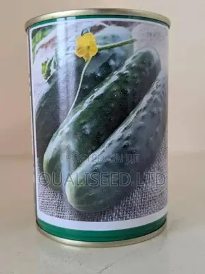 Cucumber Seeds - Poinsett [100g]