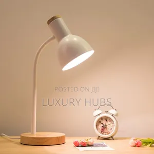 Energy Saving Study Lamp + Bulb