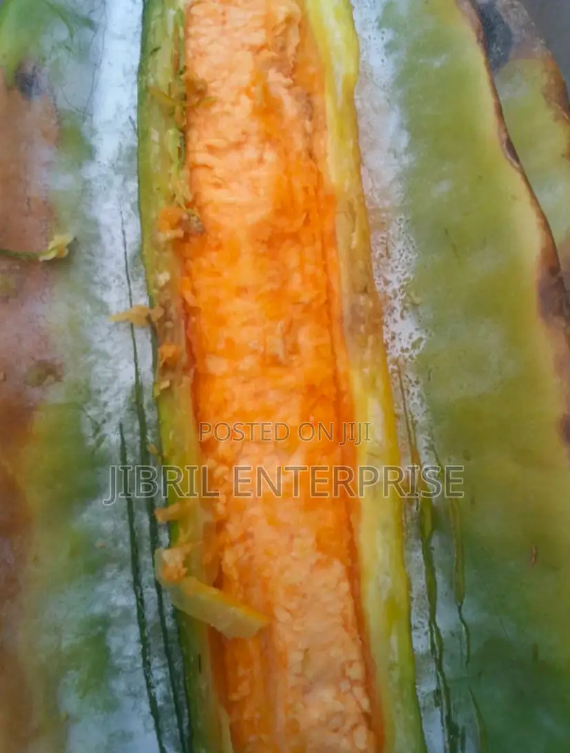 Fluted Pumpkin, Ugu, Telfairia Occidentalis Seeds