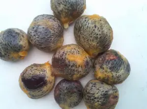 Fluted Pumpkin, Ugu, Telfairia Occidentalis Seeds
