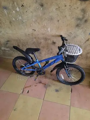 Size 18 Bicycles for Children