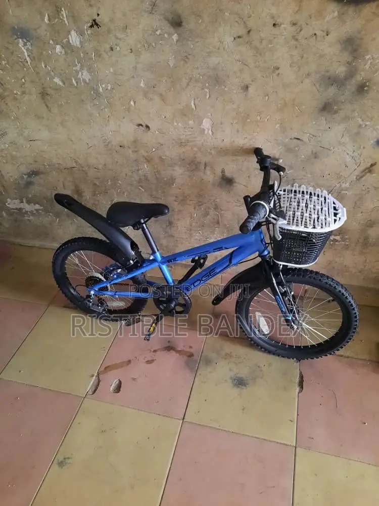 Size 18 Bicycles for Children