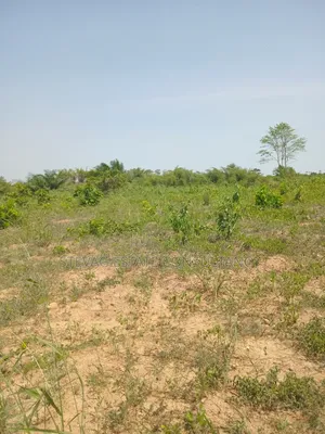 1 Acre of Land at Kasoa Akraman for Sale