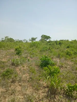 1 Acre of Land at Kasoa Akraman for Sale