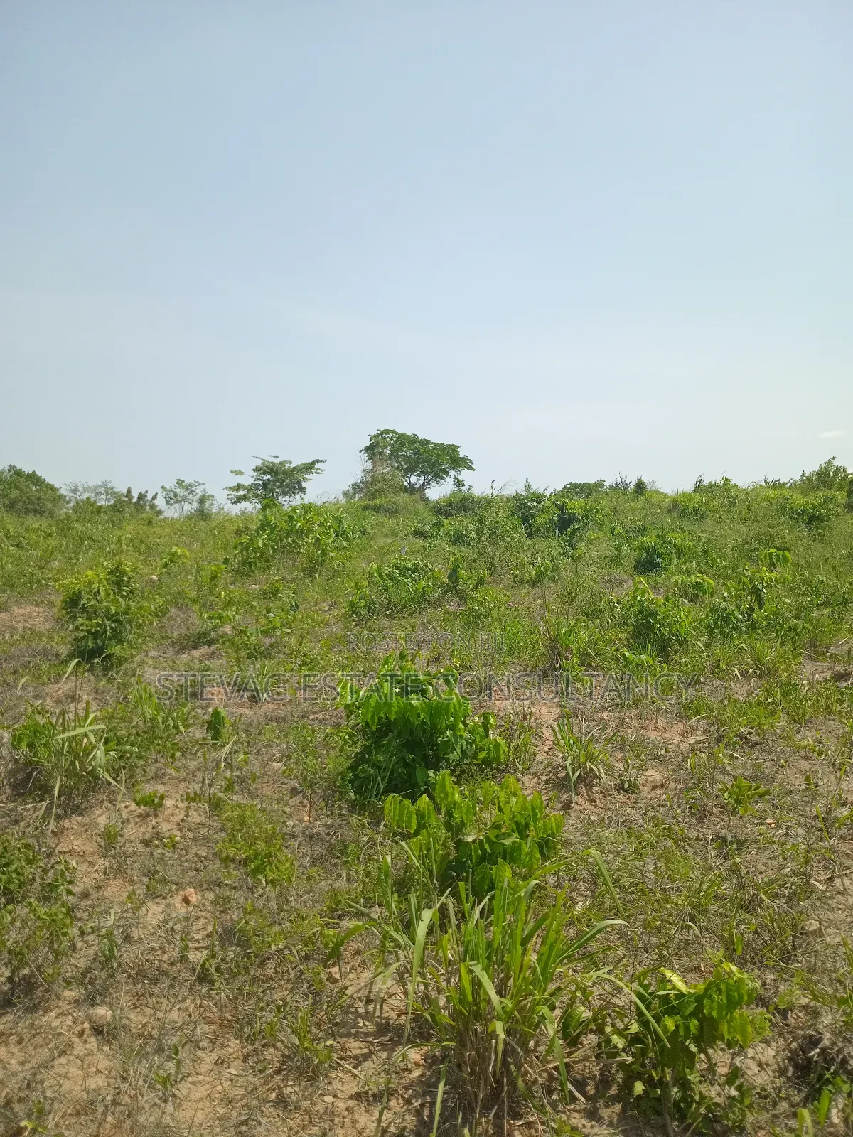 1 Acre of Land at Kasoa Akraman for Sale