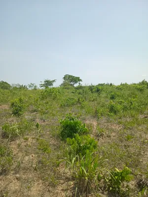 1 Acre of Land at Kasoa Akraman for Sale