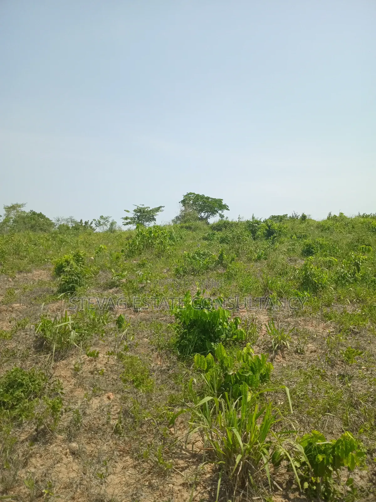 1 Acre of Land at Kasoa Akraman for Sale
