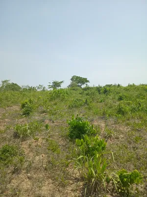 1 Acre of Land at Kasoa Akraman for Sale