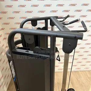 Commercial Dual Adjustable Pulley Single Station