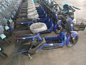 M3-Max Chargeable Lithium Battery E-Bike/at Caprice Bus Stop
