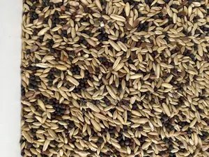Bird Seed/ Canary Feed