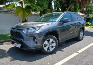 Toyota RAV4 XLE AWD 2020 Gray