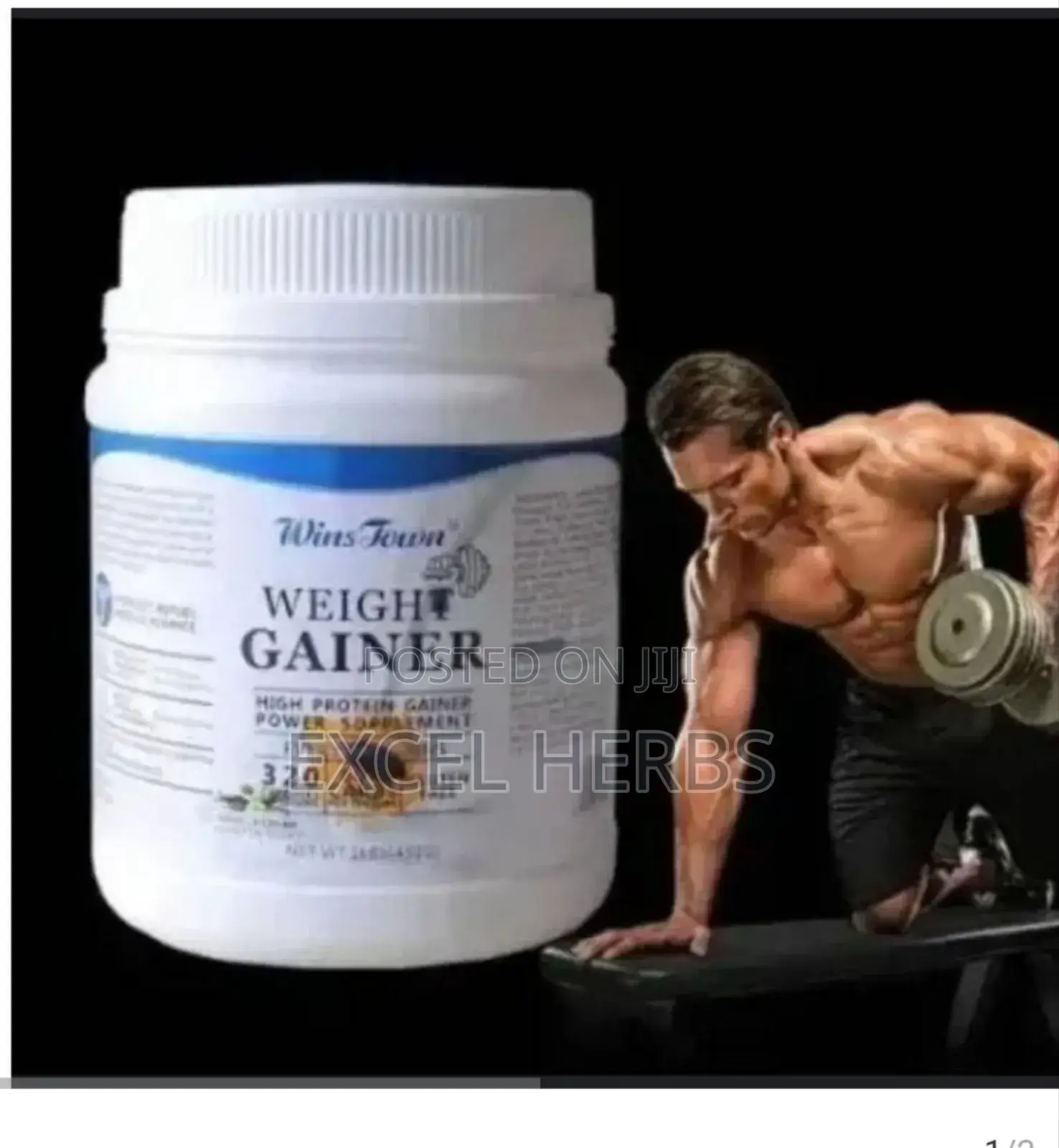 Wins Town Weight Gainer Protein Power
