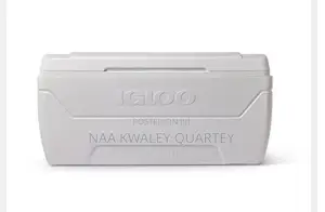 150qtz Igloo Ice Chest