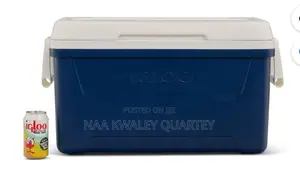 48qtz Igloo Ice Chest