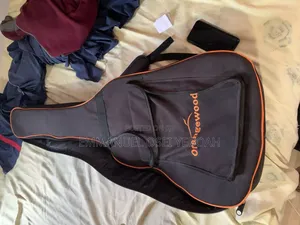 Fender Acoustic Guitar With Bag