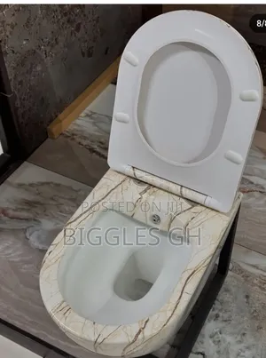 Concealed Wc- Wall Mounted Wc