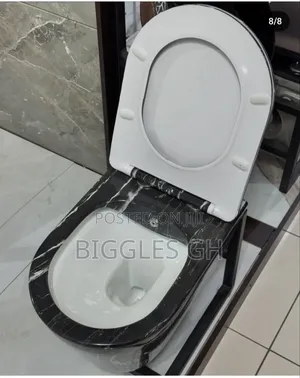 Concealed Wc- Wall Hung Wc