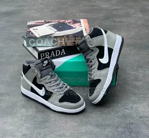 Nike Sb Zoom Dunk High Pro 'Iridescent