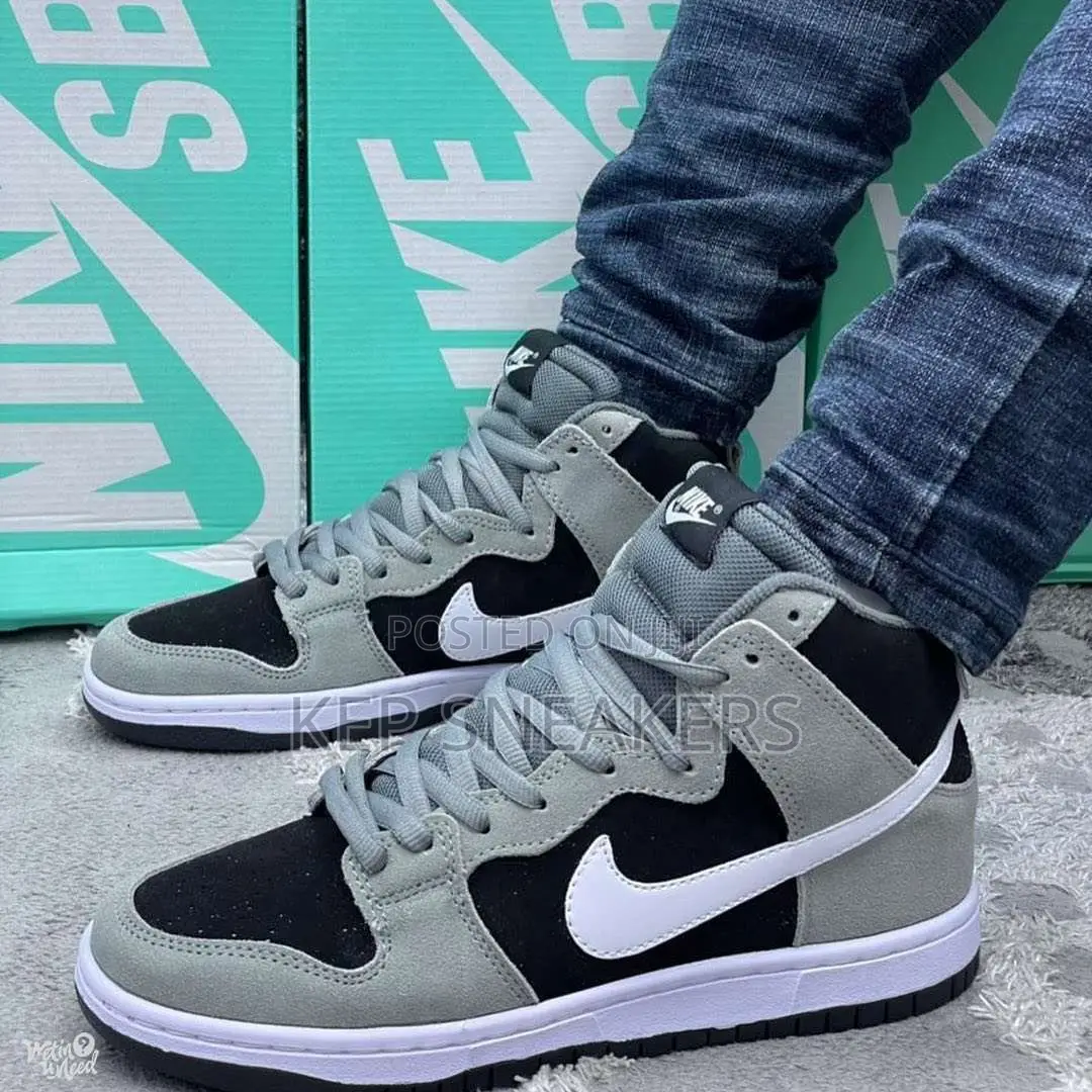 Nike Sb Zoom Dunk High Pro 'Iridescent