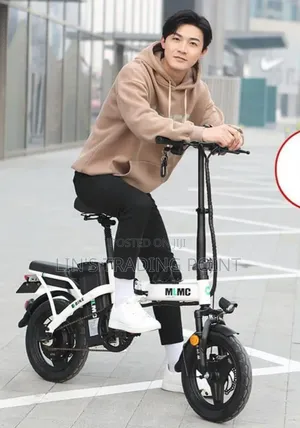 Folding Electric Bike for Adult