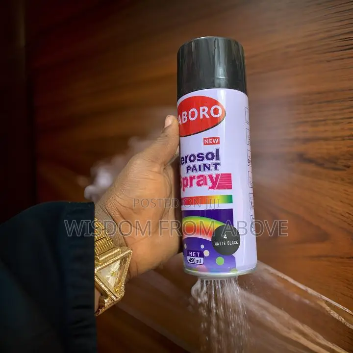 Modernized Can Spray Paint - Spray With Style